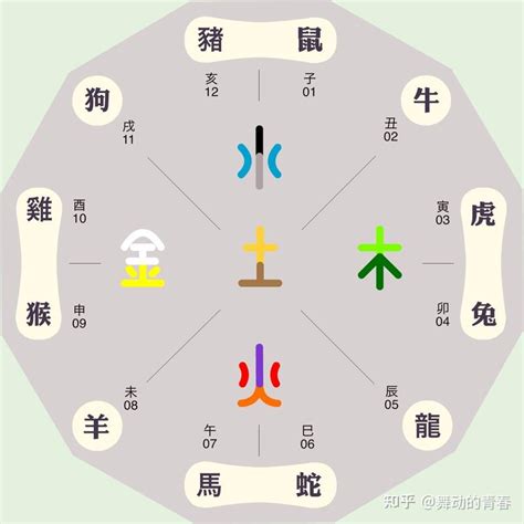 龍年五行|生肖屬龍人的五行與財運